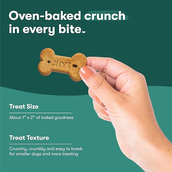 JINX OVEN-BAKED CHICKEN BONE BROTH BISCUIT TREATS, CRUNCHY, ALL NATURAL, SUPERFOOD-RICH WITH REAL CHICKEN, PUMPKIN & BLUEBERRIES, 16OZ