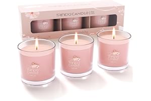 TRINIDa Candles for Women, 3 Scented Candles for Home Scented, 6.3Oz Pink Candle Set, Peach, Jasmine & Vanilla Scented Soy Candle Gifts for Women (+5 Series Options)