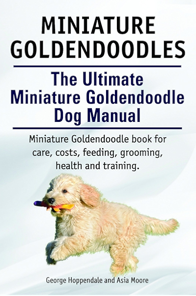goldendoodle grooming cost
