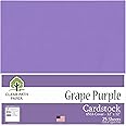 Clear Path Paper Grape Purple Cardstock - 12 x 12 inch - 65Lb Cover - 25 Sheets