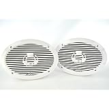 Audiopipe 6x9" 2-Way Marine Speaker 300W Max White