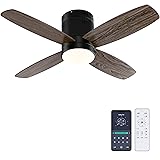 Ohniyou Ceiling Fan with Lights - 38'' Small Flush