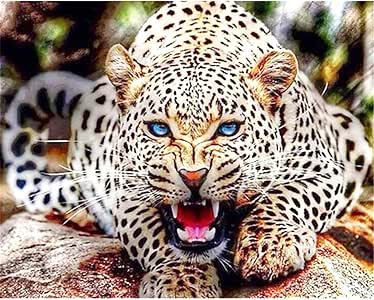 Kit de pintura de diamantes 5D para adultos con diseño de guepardo y