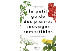 Le Petit guide des plantes sauvages comestibles (French Edition)