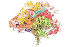 TOPHONIEX 200PCS Mini Dried Flowers Set Nature Real Dry Flowers Pressing Floral Natural Pressed Flowers Gypsophila Dried Flowers for Wedding Resin Art Craft DIY Card Making, 10 Colors