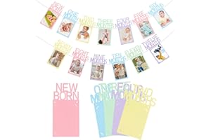 Buryeah Pastel 1st Birthday Photo Banner for Baby from Newborn to 12 Months Macaron One Year Photo Banner with Frame First Birthday Party Decorations for Girl Monthly Milestones Garland