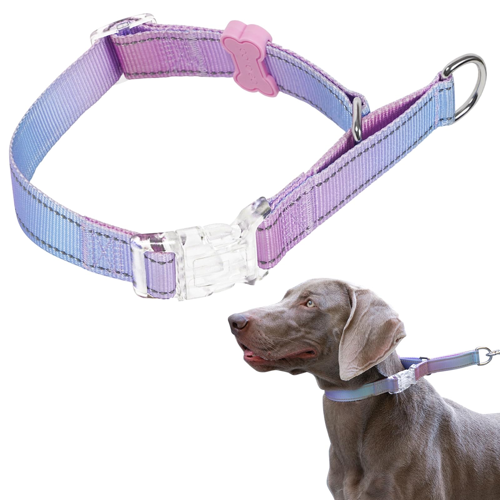 Photo 1 of BELLA & PAL Slip Martingale Collar for Dogs, Limited Slip Design, Reflective, Escape-Proof, Gentle Control, Adjustable Training Collar with Quick-Release Strong Buckle, Nylon, Medium