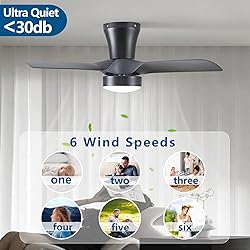 Dalouguan 31 inch Low Profile Ceiling Fans with