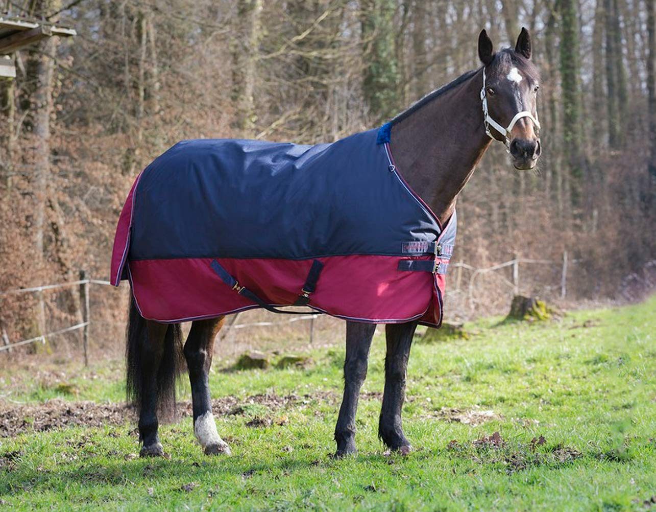 Reitsport Amesbichler Equitheme Tyrex 1200 Denier Horse Outdoor Blanket 50 g Filling Waterproof Breathable Cross Straps Tail Flap 155 cm