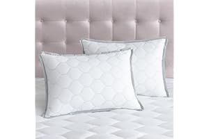 Glaciman Pillow Protectors with Zipper Queen Size Set of 2, Ultra Soft Brushed Fabric Pillowcovers, Wrinkle/Fade/Stain Resistant, Breathable Padded Pillowcases 20 x 28 Inches, Grey Piping