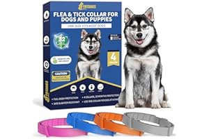 YOTANGO 4 Pack Flea Collar for Dogs, 8 Months Flea and Tick Collar for Dogs Puppies, Flea and Tick Prevention for Dogs, Adjustable Waterproof Dog Flea Collar, Dog Flea Tick Treatment-Pink Black Orange Gray