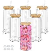 Maucircol 20 Oz Snow Globe Tumbler, 6 Pack Pre-Drilled Sublimation Glass Cup For Glitter Snow Globe Diy, Double Wall Sublimation Glass Tumbler