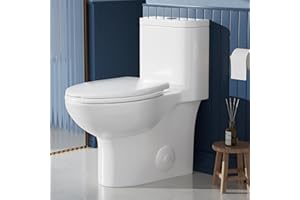 AKNIRL Elongated One Piece Toilet with Comfort Height Seat Chair Height 17" Modern Toilet for Bathroom, Dual Flush 1.1/1.6 GPF, MAP 1000g, Soft Closing Seat, 12" Rough-In, OT-001