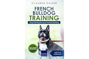 French Bulldog Training: Dog Training for your French Bulldog puppy