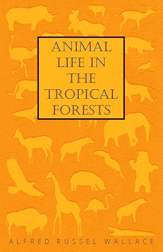 Download Animal Life in the Tropical Forests (English Edition) PDF