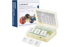 LAKWAR 25 Insect Microscope Slides with Specimens for Kids Adults, Prepared Insect Microscope Slides Kit, Prepared Insect Glass Slides for Adults Kids