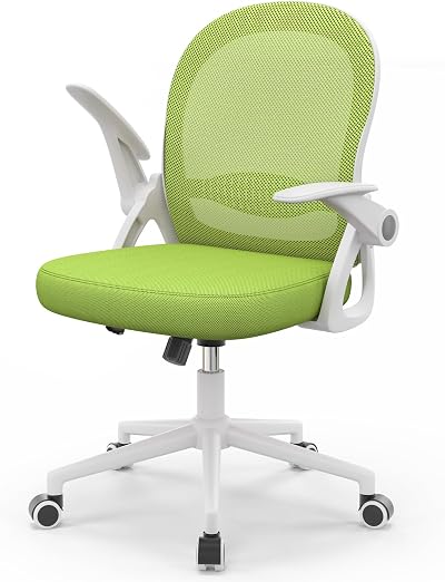 naspaluro Ergonomic Mesh Office Chair Green with Flip-Up Armrests & Lumbar