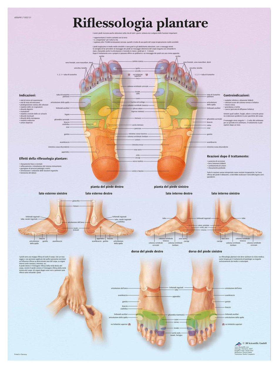 3B Scientific VR4810UU Anatomical Chart "Riflessologia Plantare", Paper Version