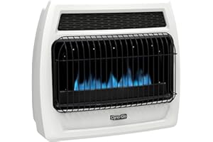 Dyna-Glo BFSS30NGT-4N 30,000 BTU Natural Gas Blue Flame Thermostatic Vent Free Wall Heater, White