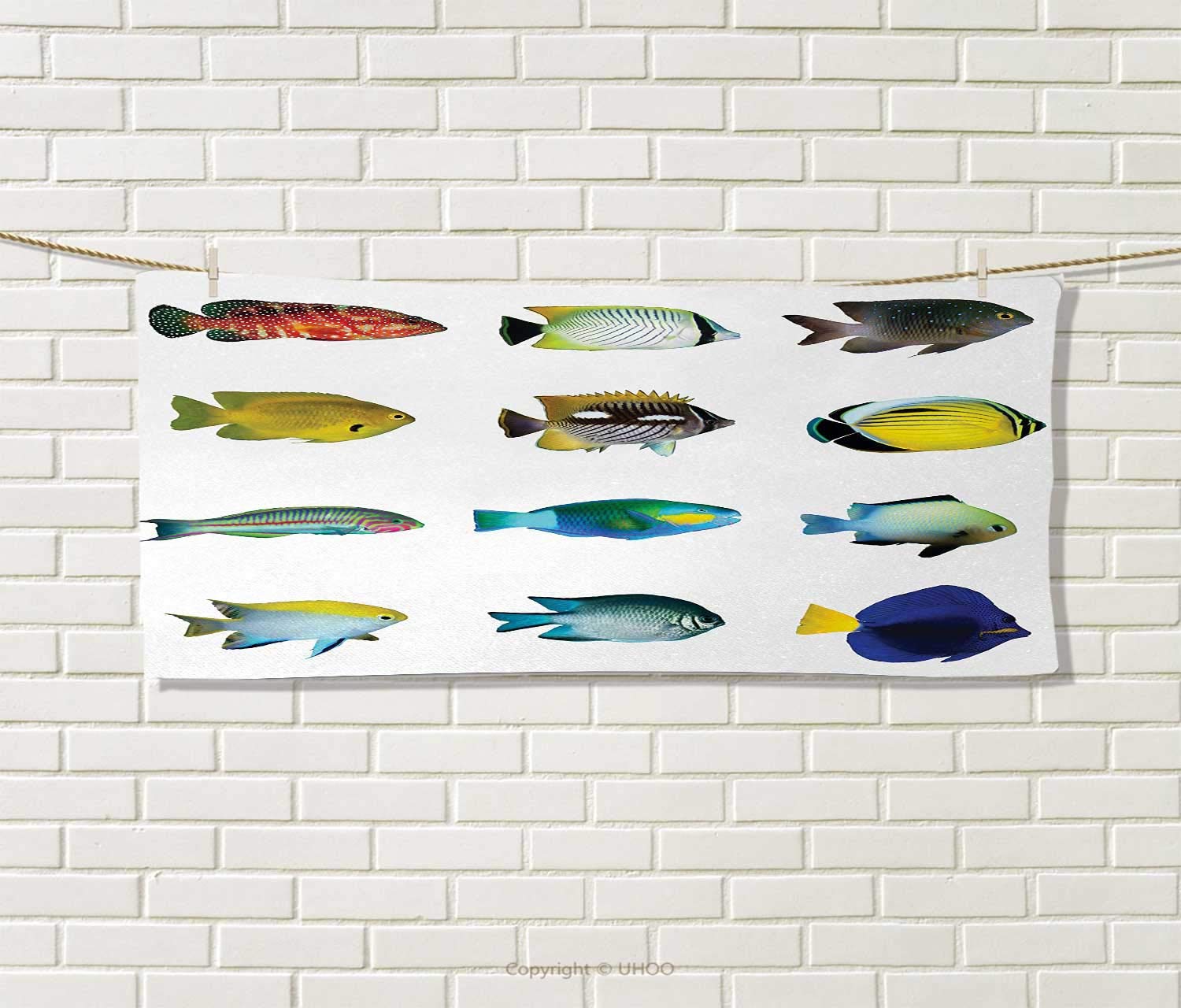 Amazon Com Anniutwo Fish Sports Ttowel Egyptian Fish Bannerfish