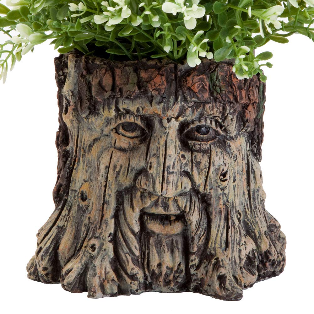 Best Planters Garden Pots
