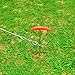 Favorite 16-inch Spiral Stake with 15-feet Tie Out Cable for Large Medium Dogs Outdoors, Camping and Garden