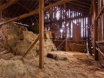 Amazon Com Aofoto 8x6ft Barn Nativity Photography Backdrops