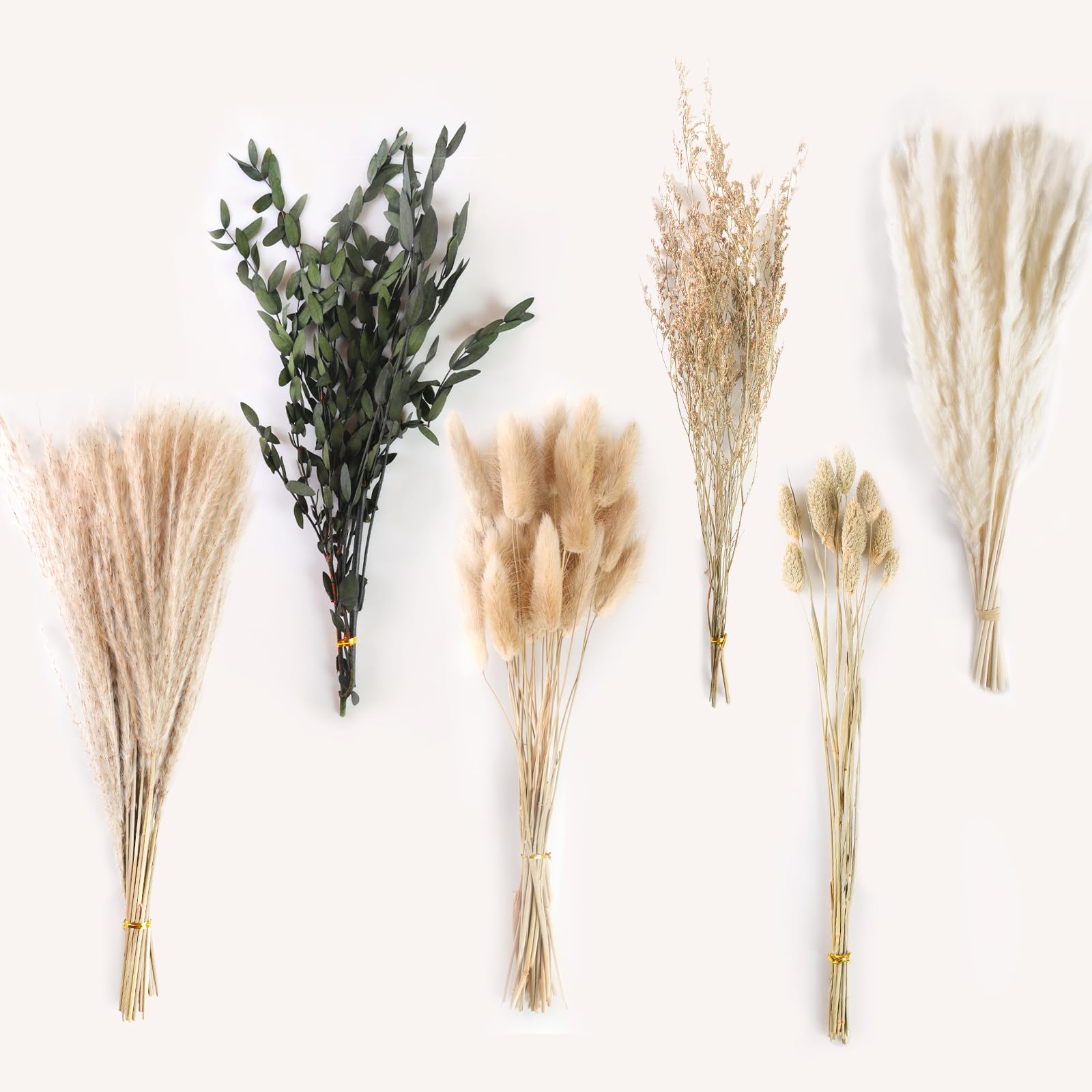 HOTUT Natural Pampas Grass Bouquet, 65 Stems Assorted Dried Flowers, 6 Different Flower Variants, Bunny Tails, Reed Grass, Boho Home Decor