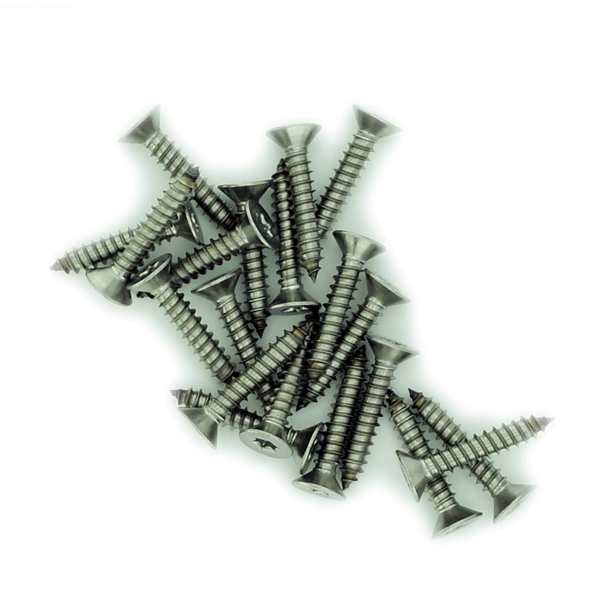 No.12 x 0.975 (5.5mm x 25mm) TX Countersunk Self-Tapping Screw - Stainless Steel (A2) (Pack of 20)