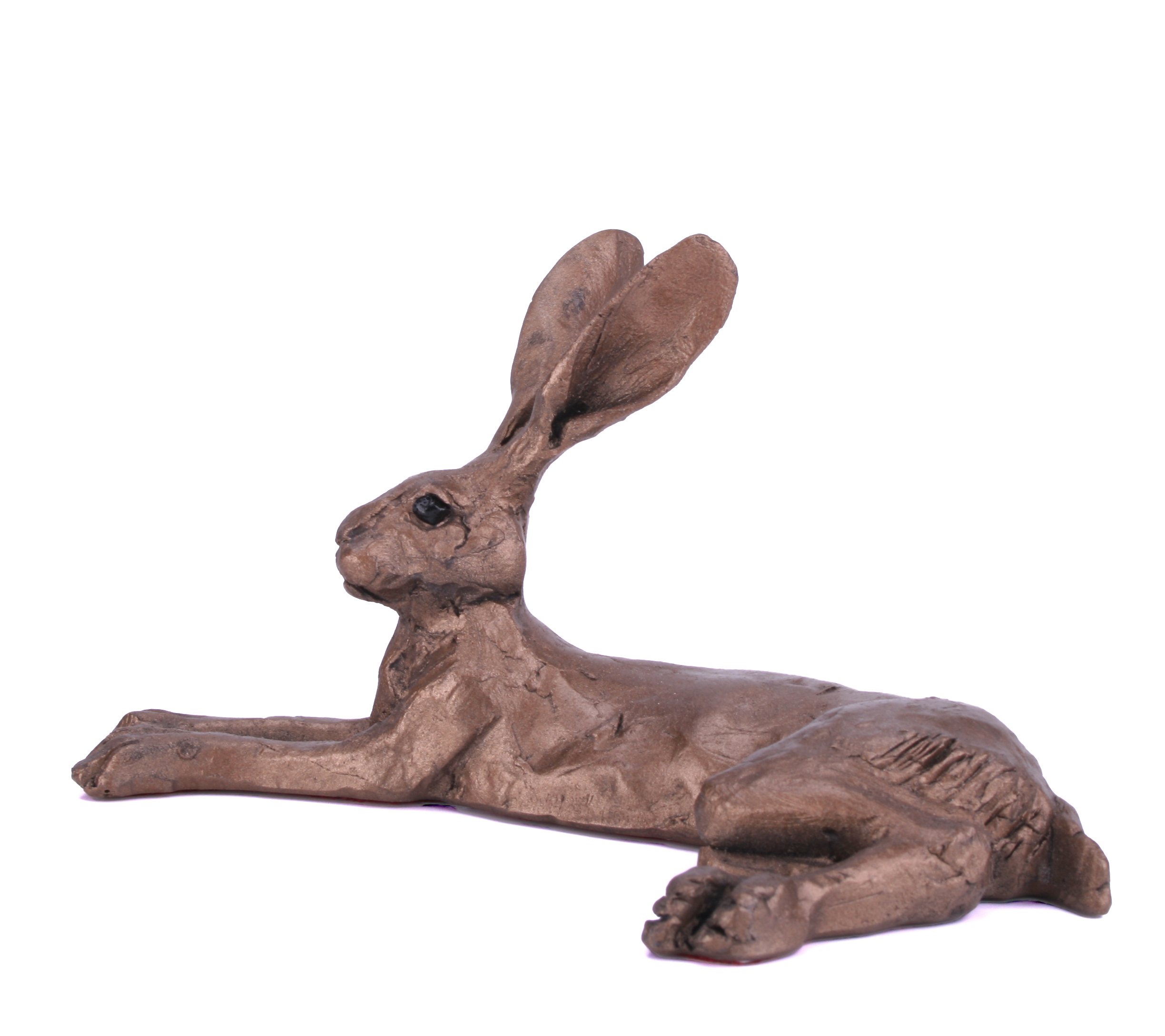 Harvey Hare - by Paul Jenkins