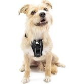 Kurgo Tru-Fit Smart Harness, Black, Small | Dog Harness with Quick Release Buckles, Front &amp; Back Leash Attachments, Reflective, Includes Seatbelt Tether