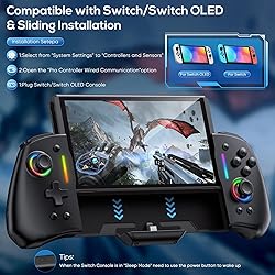 Switch Controller for Nintendo