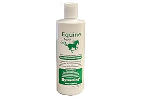Dynamint Equine Leg & Muscle Rub – Fast-Acting Topical Relief for Sore Muscles, Tendon Strain & Joint Pain – Available in 40m