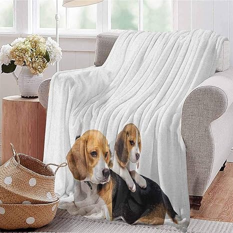 Amazon Co Jp ビーグル快適で大きな毛布かわいい家族母親と赤ちゃん子犬国内の毛皮動物の写真マイクロファイバー毛布ベッドソファまたは旅行ペールキャラメルホワイトブラック 150x0 Home Kitchen