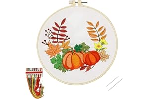 Louise Maelys Beginners Embroidery Kit Fall Pumpkin Wreath Cross Stitch Adults DIY Needlepoint Crafts Kits