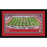 Ohio State Football - Framed Panoramic Picture