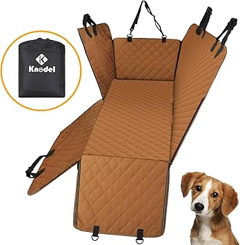 prazsky krysarik merle