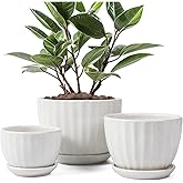 STHIE Ceramic Plant Pots with Drainage Holes and Saucers, Round White Flower Pots for Indoor Plant, Diameter 3.3/4.3/5.5 Inches Small Flower Planters Set of 3