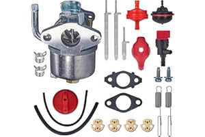 Mikatesi 798917 Carburetor for Briggs & Stratton 790558 695727 794587 594014 590907 798918 794588 593357 795485 Model Snow Blower Engines Carb