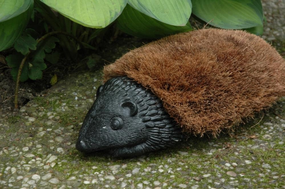 hedgehog boot brush replacement