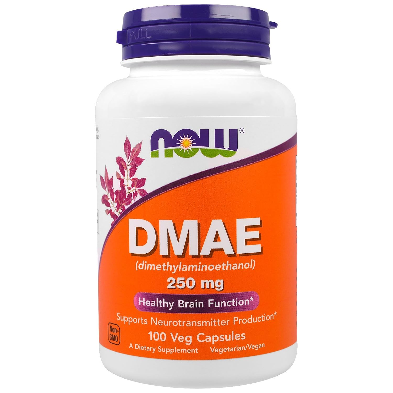 Now Foods DMAE Dimethylaminoethanol, 250mg, 100 Vegetarian Capsules