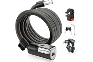 BANGTING 4 Feet Electric Scooter Bike Lock with Mounting Bracket & 2 Keys - 12mm Thick Heavy Duty Keyed Cable Lock, Anti Thef