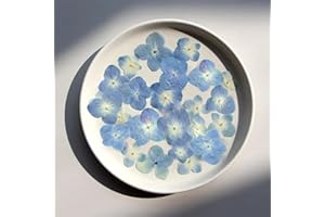 TOPFUNNY 48 Pcs Dried Pressed Flowers for Resin DIY Art Crafts Natural Dry Hydrangea Floral Epoxy Jewelry Real Flower Decor Cakes Phone Cases Candles Handmade Soap Hydrangea
