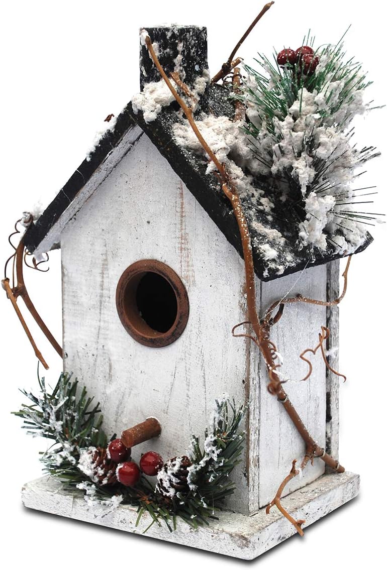Later M nl01 Winter+Christmas Bird Houses Decor (9.5 in) A Unique Beauty, W, White