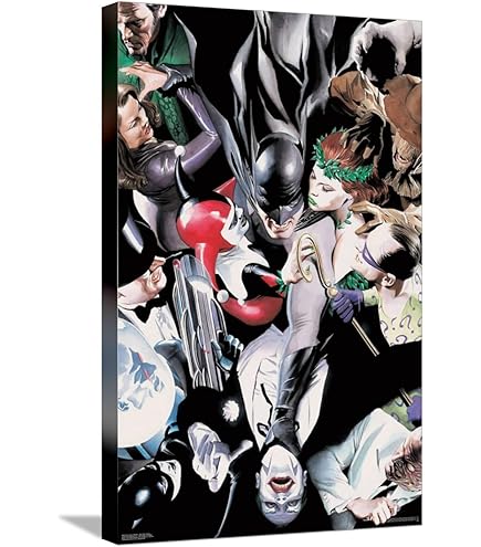 Amazon.com: DC Comics Batman - Alex Ross Group Wall Poster, 19L