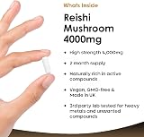 New Leaf Reishi Mushroom Capsules 4000mg 120 Vegan Extract UK Made view 2