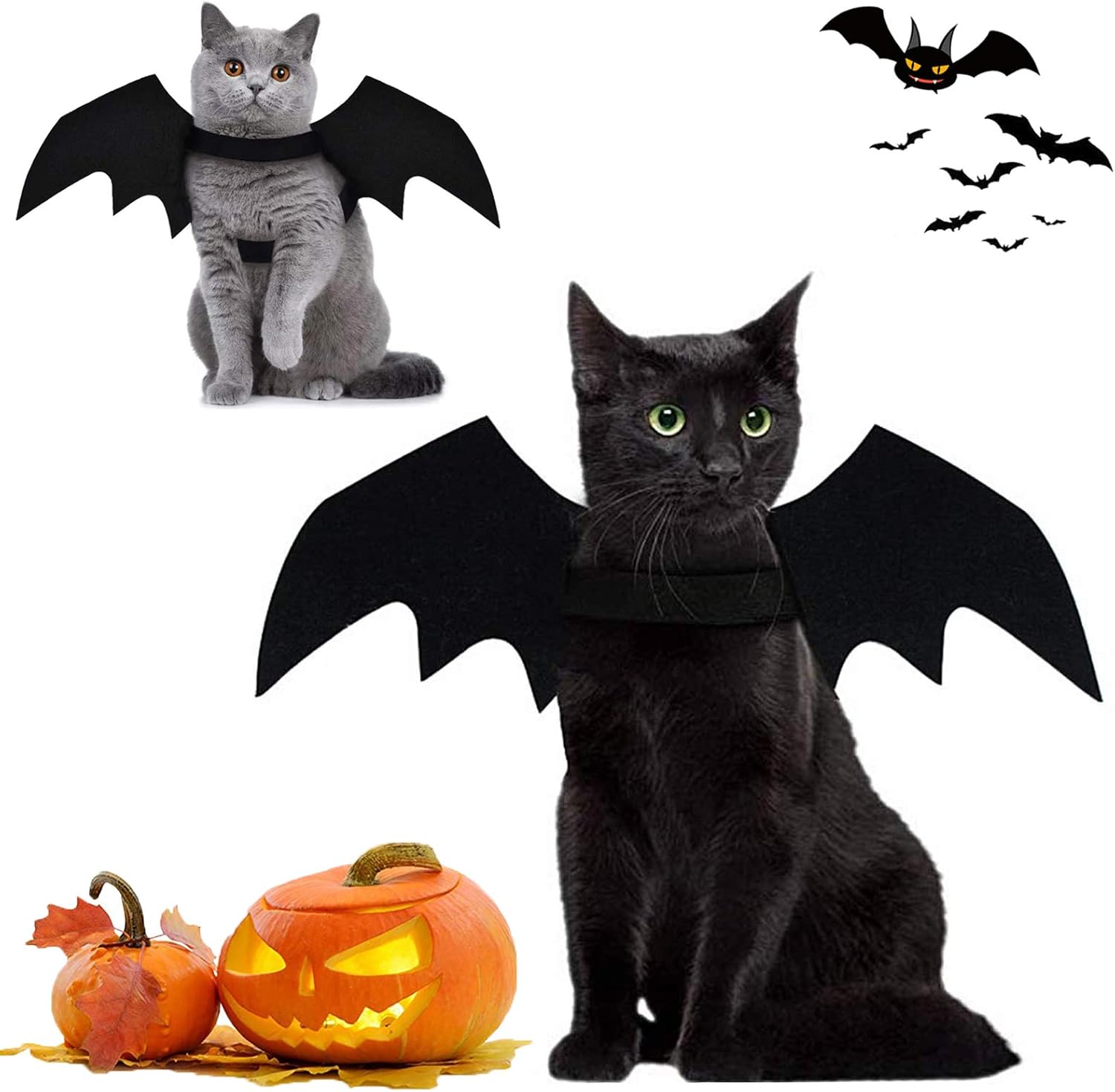 Buy Brocarp Cat Bat Wings, Halloween Costumes Cat Clothes, Pet Apparel