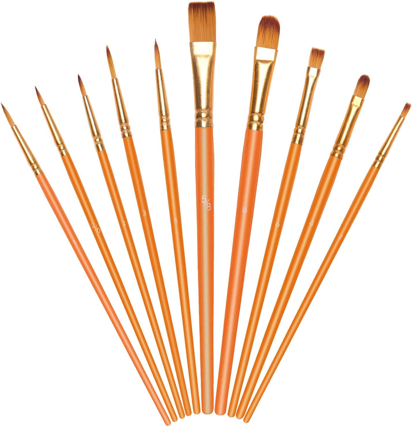 Vicloon 10Pcs Paint Brushes