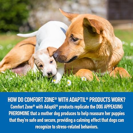 comfort zone adaptil collar