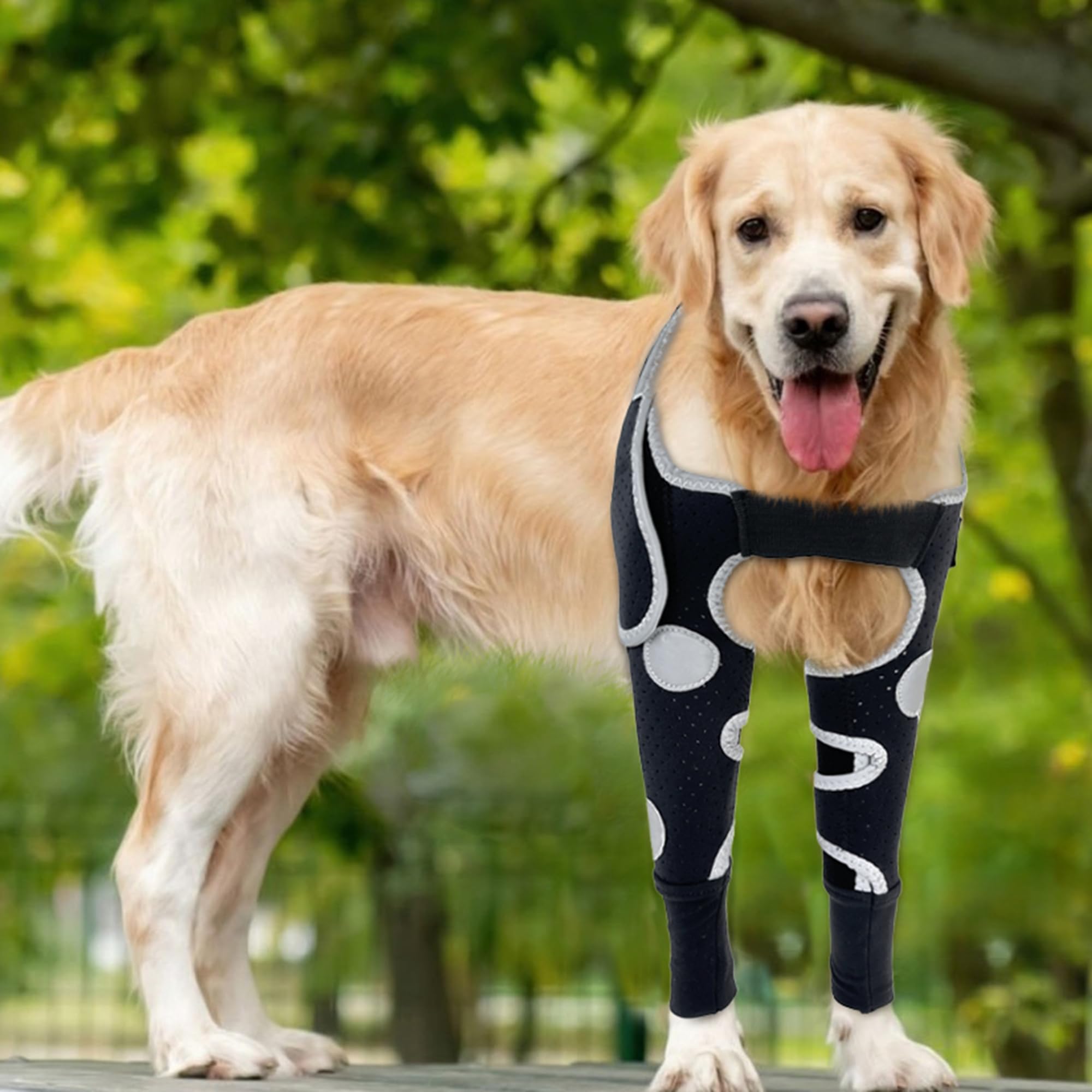 Photo 1 of Dog Shoulder & Elbow Brace – Anti-licking Sleeve for Shoulder Dislocation, Elbow Injuries, Postoperative Recovery – Reflective, Breathable Dog Front Leg Brace Support, Cone Alternative – Both Legs, L
